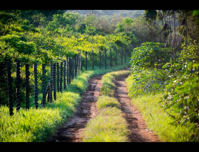 588M² VACANT LAND FOR SALE IN LALELA ESTATE
